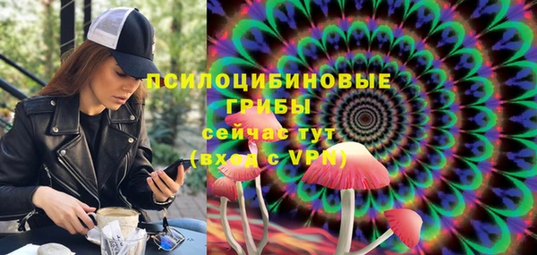 не бодяженный Белокуриха
